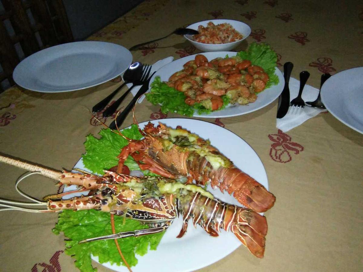 Windy Garden Bed and Breakfast Galle Εξωτερικό φωτογραφία